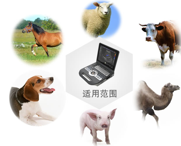 V-3800彩色多普勒動物超聲診斷系統適用范圍